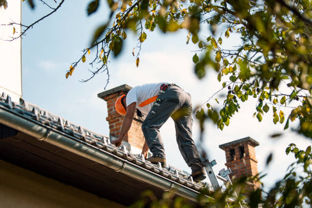 Quick and Trustworthy Emergency Roof Repair Services in Shannondale, WV