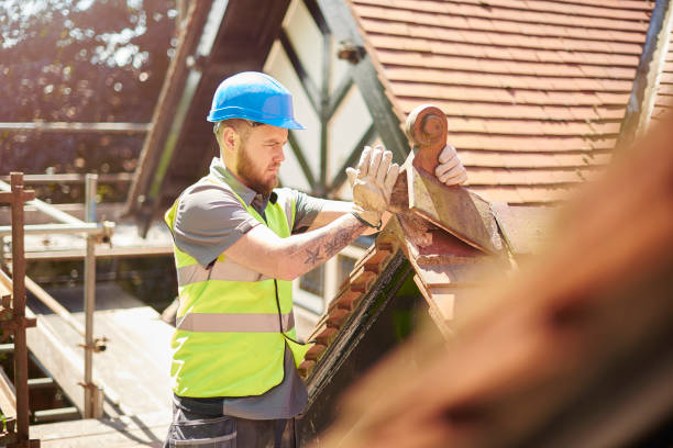 Best Emergency Roof Repair  in Shannondale, WV